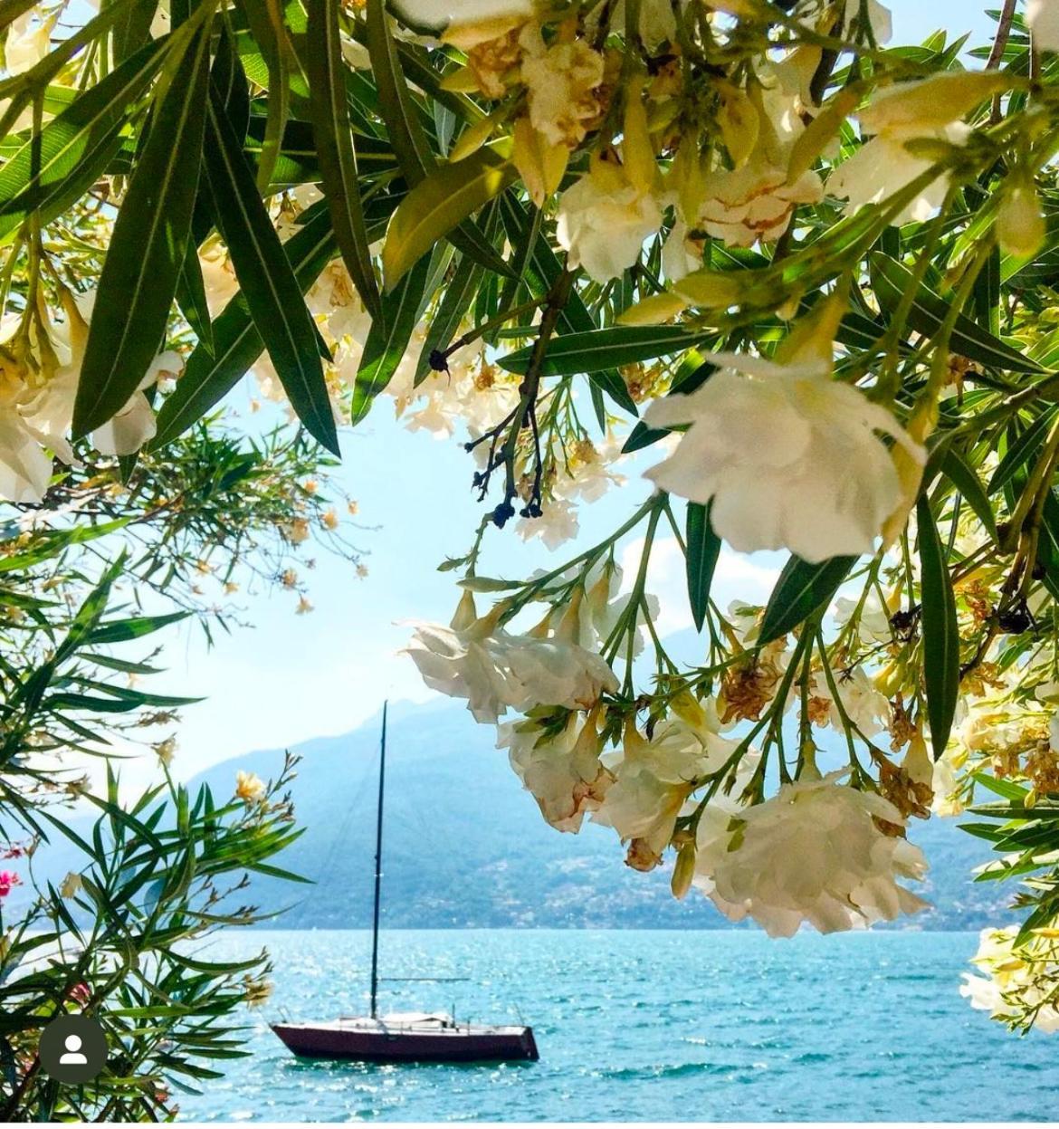 Casa Didi & Rosi - Lake Como Colico Bagian luar foto